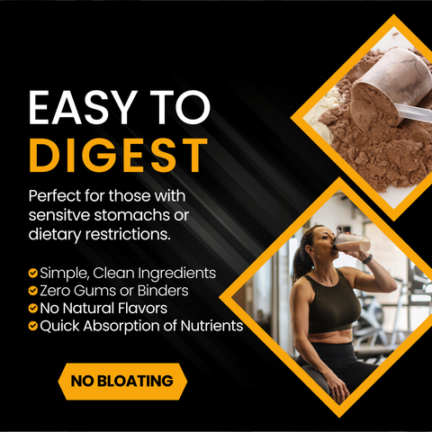 Protein Powder - Plant Based Earthy Chocolate - Six Clean Ingredients - ZERO Sugar - Vegan - 30 Servings