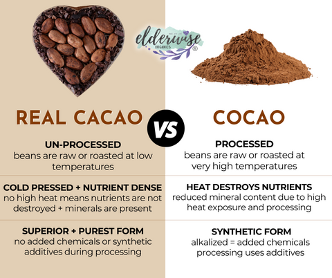 Hot Cacao | Hot Chocolate | Powered with Mushrooms | Freeze Dried Instant Beverage
