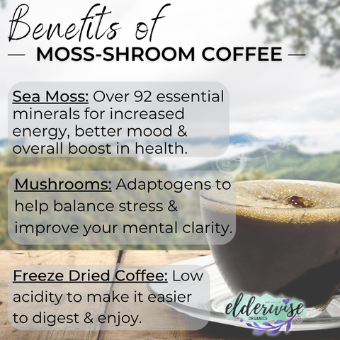 Coffee | Moss-Shroom | Freeze Dried Instant Black Coffee