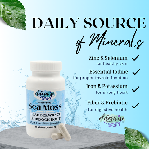 Sea Moss Capsules - Sea Moss with Burdock Root & Bladderwrack