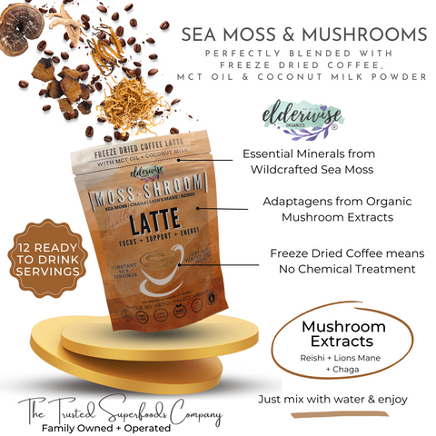 Coffee Latte | Moss-Shroom | Freeze Dried Instant Coffee Latte
